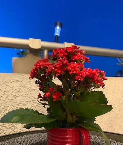 Belvedere Apartamento